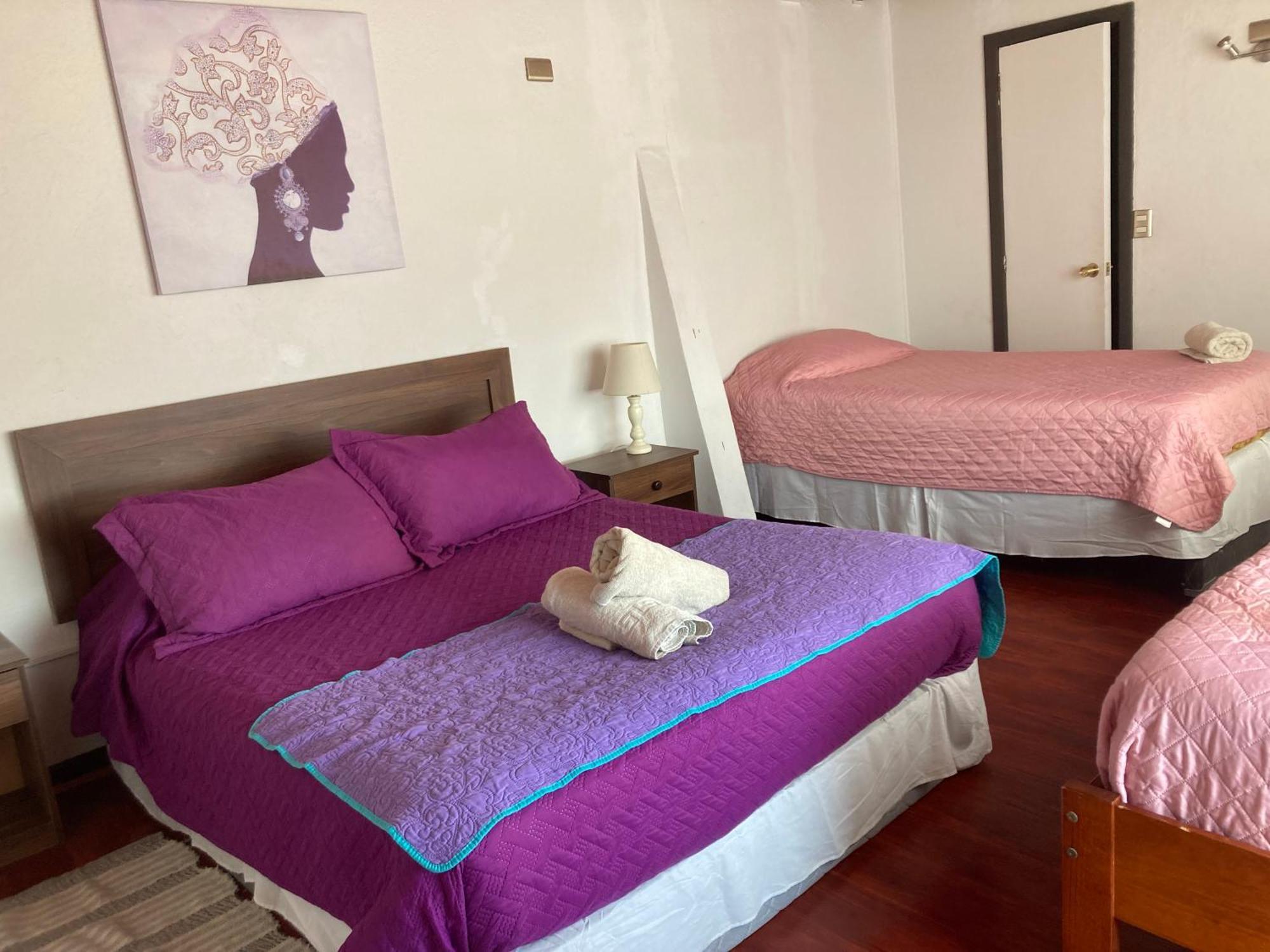 Hotel Bianca Boutique ビニャ・デル・マール エクステリア 写真